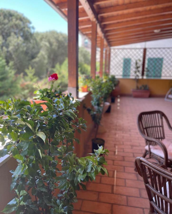 Отель La Terrazza Dei Ciliegi Санта-Мария-дельи-Анджели-э-деи-Мартири Экстерьер фото