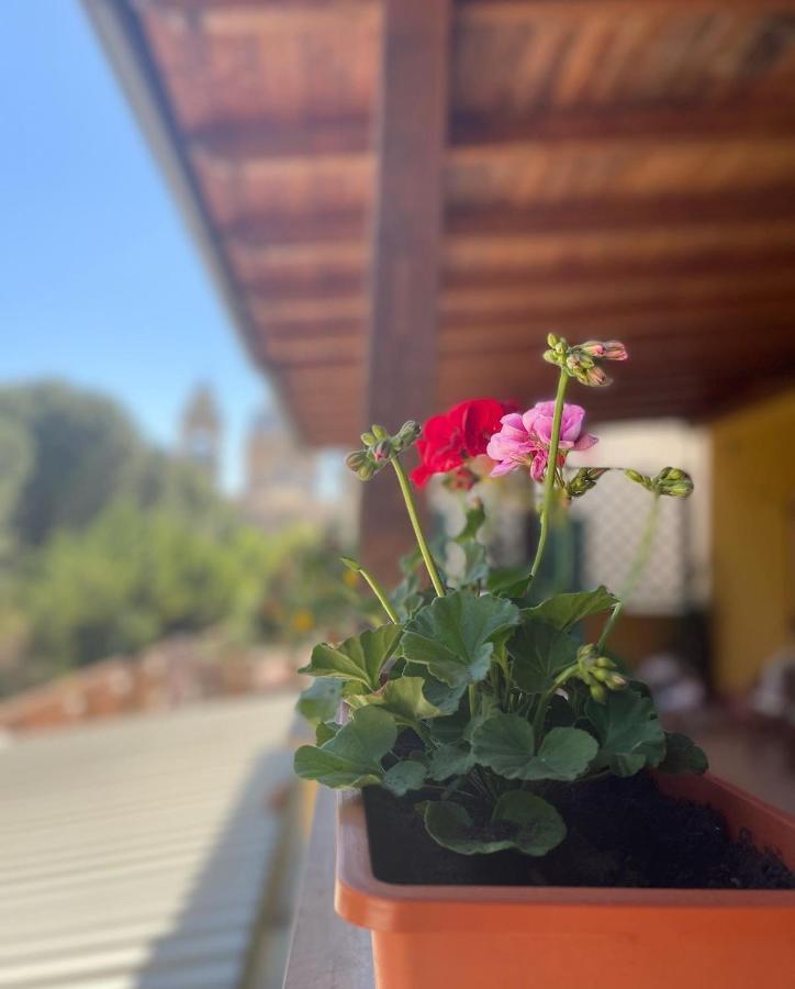 Отель La Terrazza Dei Ciliegi Санта-Мария-дельи-Анджели-э-деи-Мартири Экстерьер фото